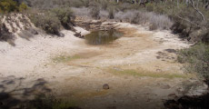 Riverbed in drought