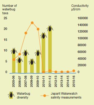 Figure 1: Yearly salinity and waterbug diversity, Wimmera River at Jeparit