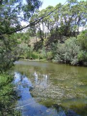 Jacksons Creek at Sunbury, by Melbourne Water