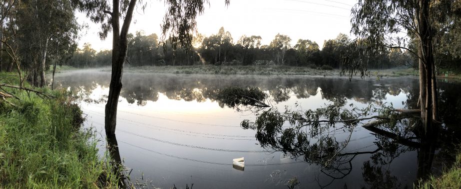 Image of Annulus Billabong by Melbourne Water