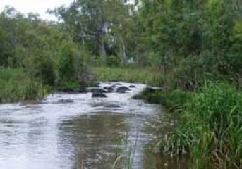 Campaspe River