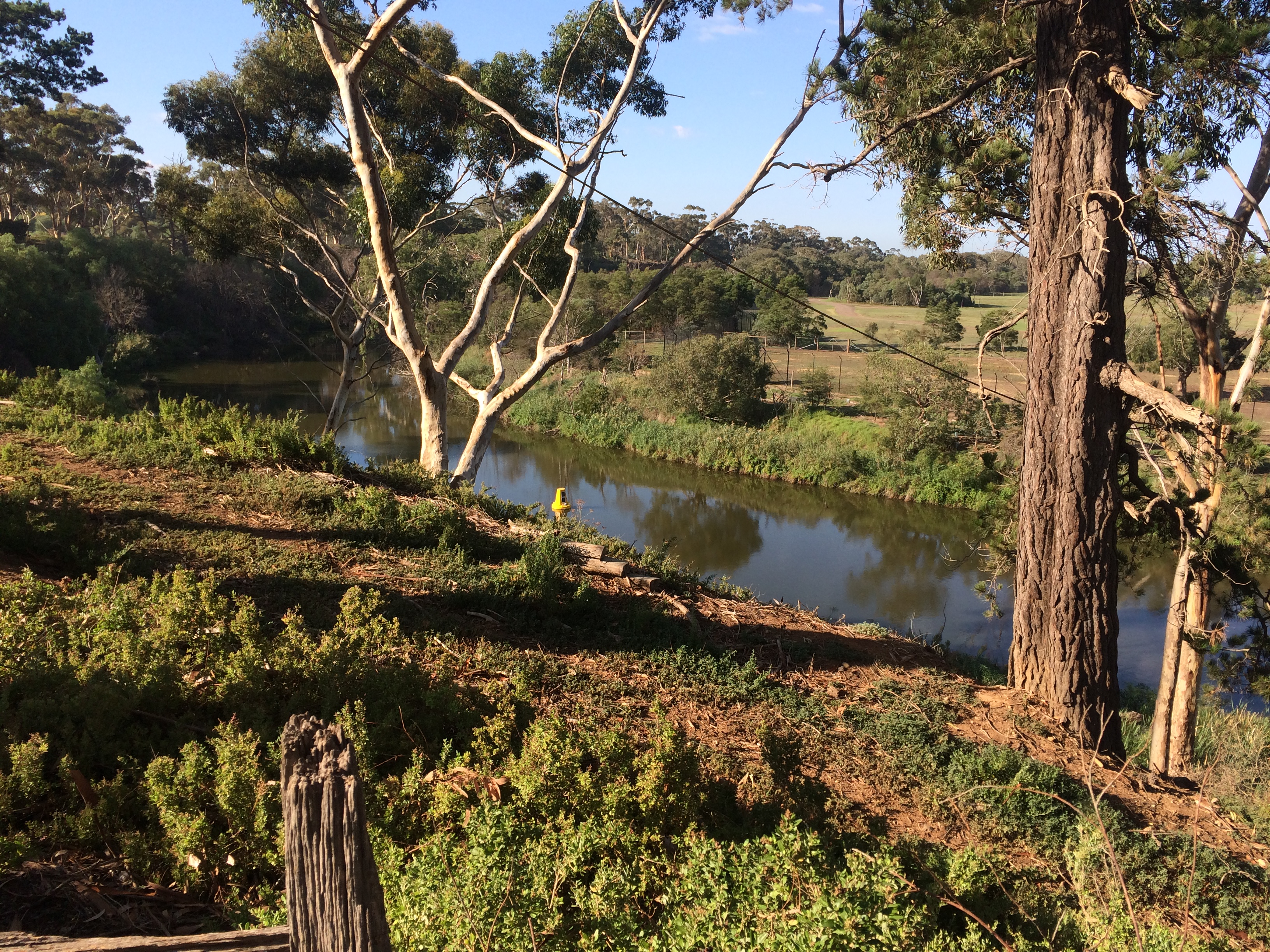 Lower Werribee River after environmental watering on 16 March 2016, by Melbourne Water