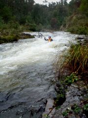 Canoeing on an environmental water release in the Thomson River, by Jolyon Taylor