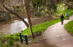 Enviro flows to boost Yarra River's health