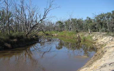 Wimmera River at Jeparit 2011