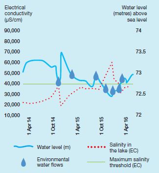 Figure 1: Lake Elizabeth water levels, salinity and environmental watering, April 2014-16