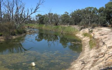 Wimmera River at Jeparit 2016