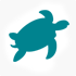 Maintain and increase the population of turtles