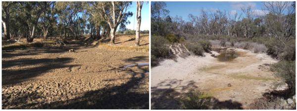 Lower Broken Creek 2018 (left), by Goulburn Broken CMA and Wimmera River at Lochiel 2010 (right), by Wimmera CMA