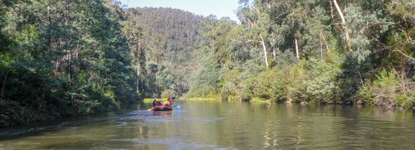Paddling on the Thomson River, by West Gippsland CMA