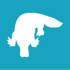Platypus icon