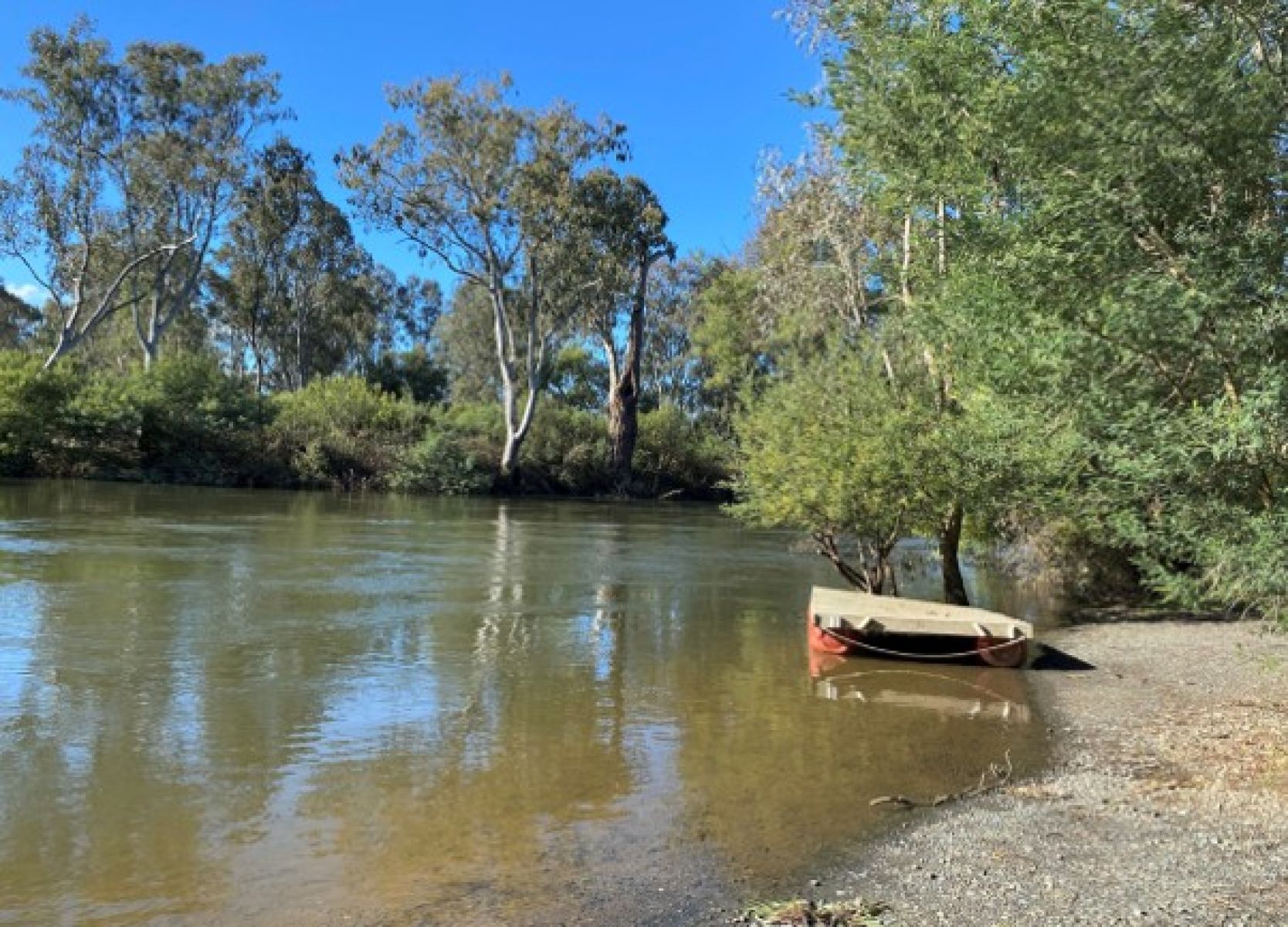 River on a sunny day with blue sky and trees on the banks. In the foreground is a floating platform that has washed into the shallows