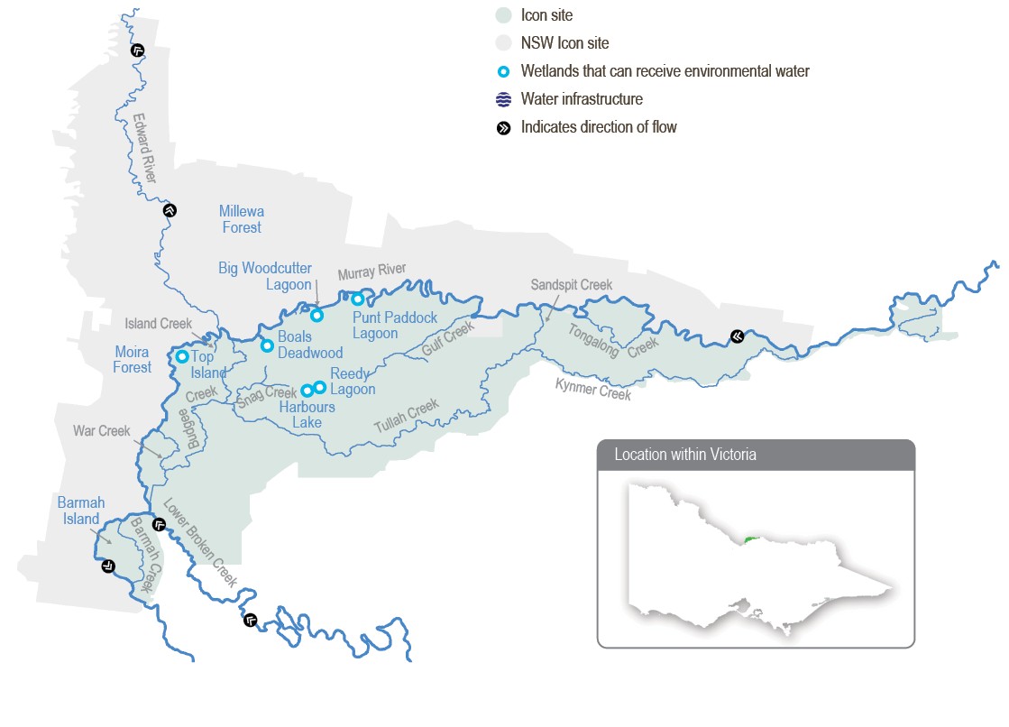 A detailed map of Barmah Forest showing wetlands that can receive environmental water.