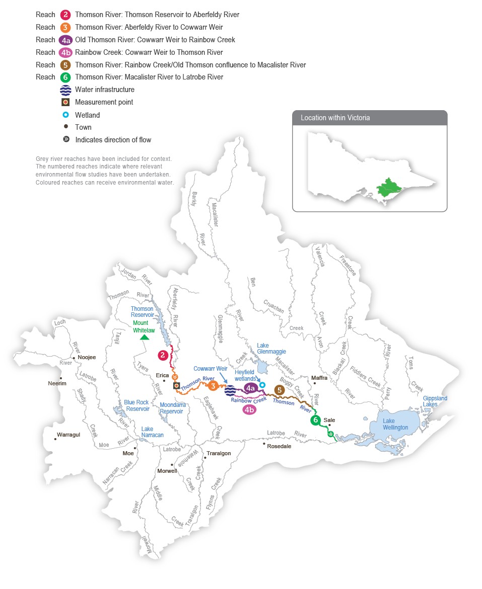 A detailed map of the Thomson River system showing river reaches across the system. The map depicts where relevant environmental flow studies have been undertaken and which reaches can receive environmental water.