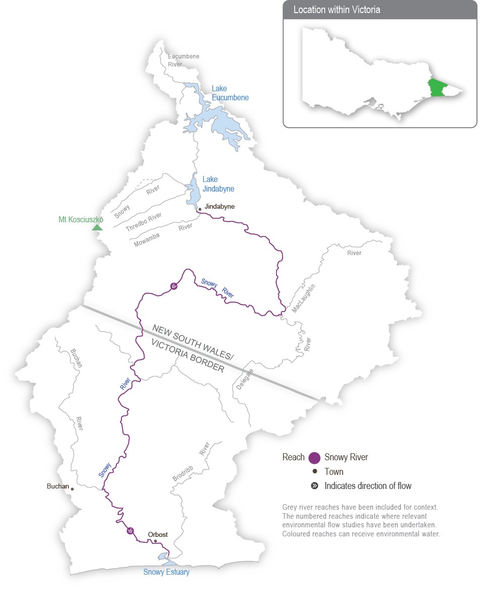 A detailed map of the Snowy River system showing river reaches across the system. The map depicts where relevant environmental flow studies have been undertaken and which reaches can receive environmental water.