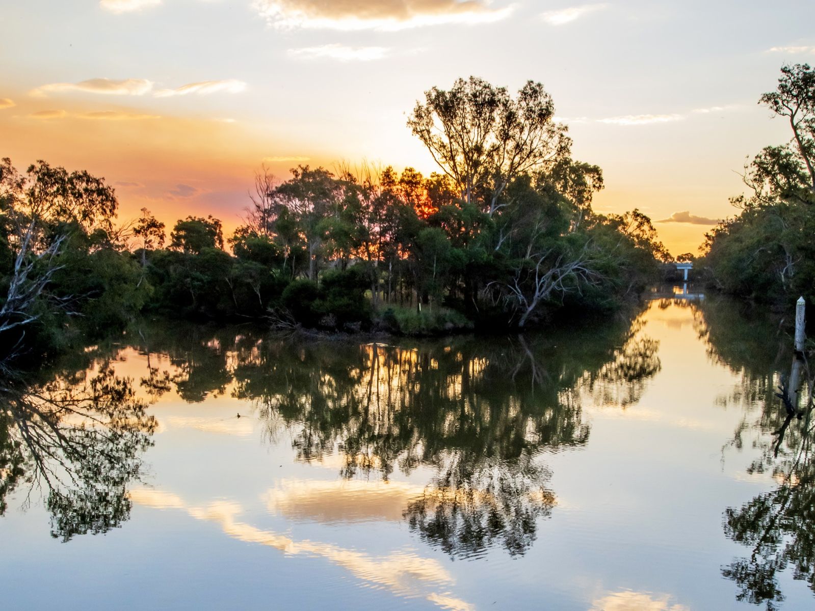 Reflection of clouds and trees on water at sunset