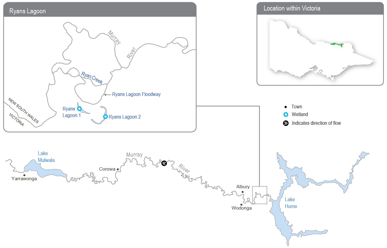 A detailed map of the upper Murray wetlands showing wetlands that can receive environmental water.