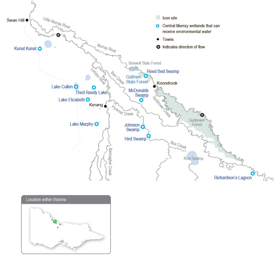 A detailed map of the central Murray wetlands system showing wetlands that can receive environmental water.